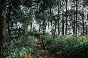 BIB: 
                            <button type="button" onclick="openModal(25657788)" class="btn btn-primary btn-sm float-right btn-popup" data-toggle="modal" data-target=".modal-high-quality">
                        <i class="fas fa-shopping-cart"></i> Add to Cart
                    </button>
                                            <button type="button" onclick="isThisMe(25657788, true)" class="btn btn-success btn-sm float-right btn-popup btn-isme hidden" data-toggle="tooltip" data-placement="bottom" title="นี่คือรูปของคุณใช่ไหม คลิกที่นี่เพื่อเอาเข้าอัลบั้ม">
                        <i class="fas fa-plus"></i> Add to album
                    </button>
                    <button type="button" onclick="isThisMe(25657788, false)" class="btn btn-warning btn-sm float-right btn-popup btn-isnotme hidden">
                        <i class="fas fa-ban"></i> Remove from album
                    </button>